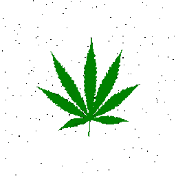Coin image for 3qpCmjHAK2aAawkLUZRE6wnUHkNPZx1SbWeSiP3bbm9e