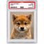 Coin image for 3ri4txEExrwzvBQwXeJHoMBUpp2tAoX4dkn8hyTzpump