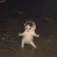 Coin image for 3sCNYwYgWGNRDboHVwqJqwL3XNQrjzMfSpE9CQbg9CAT