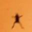 Coin image for 3sEs4cePSiZRG2TRBru6uj5uxfwe89CdMjTc2RE3tQFR