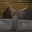 Coin image for 3sRvTZDumT7pz4gHvnLwrf5strkCuBddL6C5jsjMpump