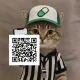 Coin image for 3smBFpwnCXtGaofDSAvnr9pFXNqssRPHvA1wK9Lspump