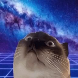 Coin image for 3spGNmo9SKtiHrUeXAjchoqUBNgGvRBdDpgcH7mSpump