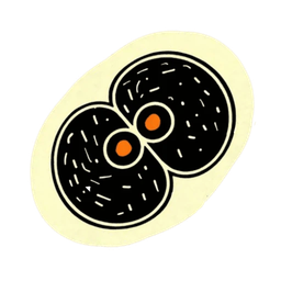 Coin image for 3uJBhUN5PQtWsWSEG3R46K1bpcFQZecGEJg2u8t6pump