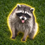 Coin image for 3uyViYCKdUqefzdLVwfbi2HjCtv2pbbdBUAMp6b7pump