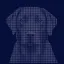Coin image for 3vDjkQLaTXHtz2wakJxd7f5Qkbtazx73eg2hgKMZ73Yu