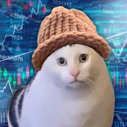 Coin image for 3wSFLV4NqXyybDTzKT25VQFbFC49b1vEy7ob1hAkkmFw