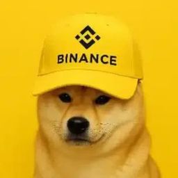 Coin image for 3wmzqPrJSrHvs6eqdXaBuda9sFph6NkYMebmDpVZpump
