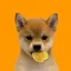 Coin image for 3xGNp2NA8cGVJRowPrH64xoSSnHPConos9BxuJUtpump