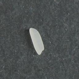 Coin image for 3yfbGHJjca8ej44jD1ErPcR9P8piBwwDLej5pbtApump