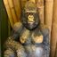 Coin image for 3z2mrcSBKDRP5uAj4YjQtAp5XG8zqchAaw3bjb4rpump