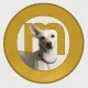 Coin image for 3zDdn2mrxYT1bFVxLvfyNJYKnPchbXC1Ng1PZfudpump