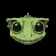 Coin image for 41dKEUdWzgfcDvCzZYP6rjVpa9iMZvE1MKKjagfjpump