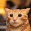 Coin image for 42u7RDNhmk9MjRVQqWSZQ6u5LRg6CUtLvDEcTcBy7nVm