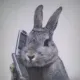 Coin image for 43dCheJk9zCzwZQ4LLaUigfjdudnZJZZ6hGDfoUPpump