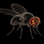 Coin image for 43xWqRDbmoBdmLEoMzNAR3Zw6AZAHnF6bHDpaQPGujwy