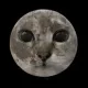 Coin image for 44VcqgHBNgRnyXWoGvbp2akqweCoREpt16sNU1p1pump