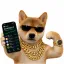 Coin image for 45KxShgqJ7VnHvRUkuYd6T3LhcWa9KgbzY7s3cN1pump