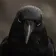 Coin image for 45nxqhugJjnYG9DRnCiDSEdvkr8igDtxpqi8yDpZpump