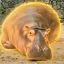 Coin image for 4BFC7h6tybfF2tozPZD4Dri3a7F5GGPDe5S4TJhDpump