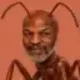 Coin image for 4CKkCKRsqeMkFCTFwgtskUmSKgGwdv1FFo9geSBjK5my