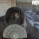 Coin image for 4CU9HrcXpJQnjpzmMZmWPQyfLubb1gbmUF39V7aXpump