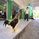 Coin image for 4Cvu8eFe6bb3S7hvJR5M6xWbfJtDg4jWXKpx9Wvopump