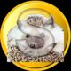 Coin image for 4EYe4VxkNeavDBeeYrt7Vo9hwVJBfEVFSsiKkpadpump