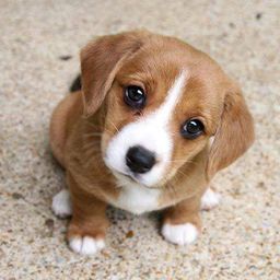Coin image for 4FN6d3BjLQ5swFcABn87oyjZKLoPWA49fZ4ran4kpump