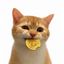 Coin image for 4GZmopRSnJRfKViTLjhZphB7oj2jV58Ym5BJjsFpM7wP