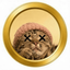 Coin image for 4Gjasge2EZXTgzgpCro2ZEKf7nMhyVM1R8kNzmy3tcqf