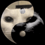 Coin image for 4HJWqXUJzfcprvca5tmhvjfh8nFbxmd1MdCaP3CXpump