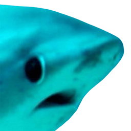 Coin image for 4HbtVnPBJMeQD8fxTHkVguue4Z7LT17ZDvwtaAvxpump
