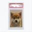 Coin image for 4JLSXkf7vMHFZzbpsFSbSdUydyr6UTRWHvN1k1qTpump