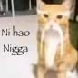 NihaoNiggas token image