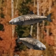 Coin image for 4KZZLWsQeqMJivRW3tNEADcspjT9XiC2rEHkFniKpump