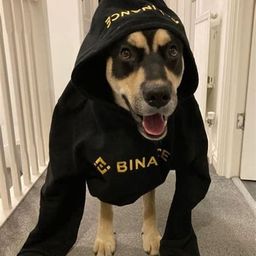 Coin image for 4KgDSMMfJXYVk1nWcwVKEaCJdtjNCa3JKpSyiwm9pump
