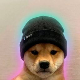 Coin image for 4L4ym9fSwDRd5wpp2wK1xKdXmoJSoB7S3k1DNAi7pump