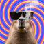 Coin image for 4MTGHefqt6mNAbjHKXZZ5ugdhHdbQR83TMJyrwv4pump