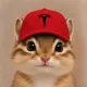 Coin image for 4MYkP8sKVKUa8CGqNMWvkagSSkgePFWWgydMPcNBpump
