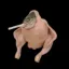 Coin image for 4NZfXfQWjmtqiP4rYApAKYq4wXatvAd91txfofJMh6AW