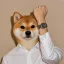 Coin image for 4Nt2hAWoa6W3ugNjLeZgqM9dpRvWfA9bP3xD4kocpump