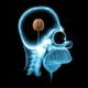 Coin image for 4P6haWzAo7GrTypDUiPLfC3VbsmCPsufibNLDSKWpump