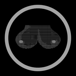 Coin image for 4PoSSzUvDug4PVrBJCtqPyyuCAmNNsLBU8Cj2auVpump