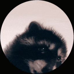 Coin image for 4QFscnjwWFv3NBppFmDFmQgjTTEemXJdkAZWn8jjpump