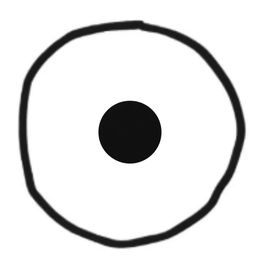 Coin image for 4QYrWurUtXtTWSHFsio4PthM6NxjC6jKjZreoiskpump