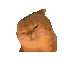 Coin image for 4Qke9xhPneCSGHFWy191dP8pJYYa69oVwuzXaYXdpump