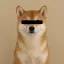 Coin image for 4RrQhT2d5XoyinpRm9iRkU4uZXBuYqvcEpJ7HQNWpump