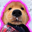 Coin image for 4SVWEZxNs2tHfBXAqBrDJWvmJAzFExq49BEfA5W8xwsp