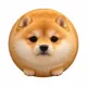 Coin image for 4T1vimTzQGmJFvd4tWxgEd3u3a9zQiQhVjGLcrCNpump